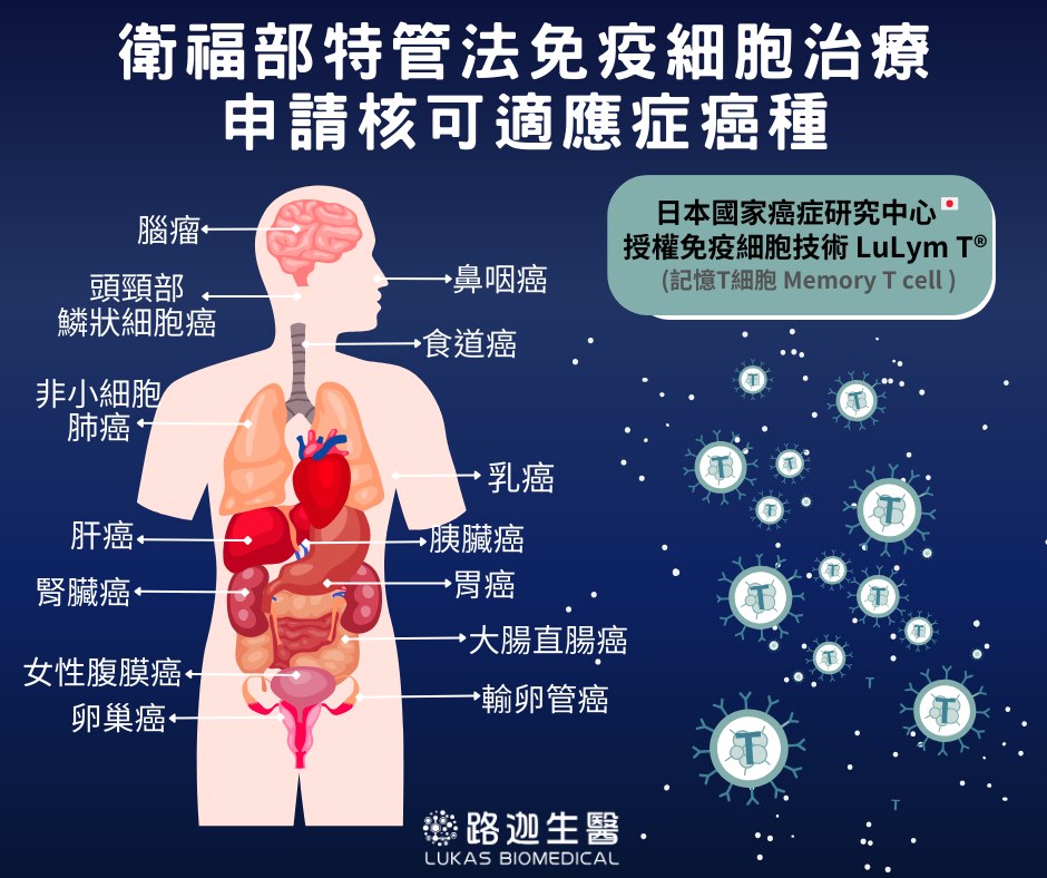 免疫細胞,癌症,細胞療法,路迦生醫,癌症治療 免疫細胞,癌症,細胞療法,路迦生醫,癌症治療